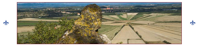 Etang de Montady